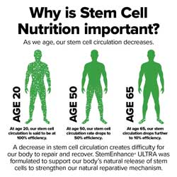 Why Is Stem Cell Nutrition Important?